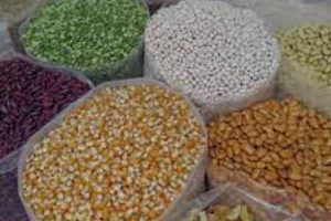 FG DONATES INPUTS