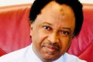 Sheu Sanni on Presidential Elections