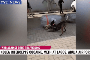 New Project – 2023-02-20T152712.579