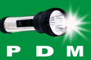 PDM FOR PDP