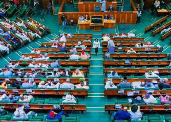 REPS CONDEMN CALLS FOR ING, ADVISE AGAINST CHAOS