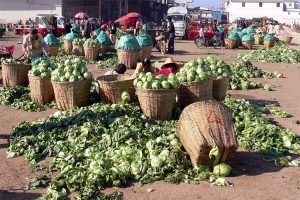 FG TO FARMERS