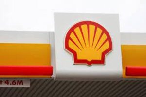 COURT ON SHELL