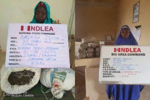 NDLEA ARREST