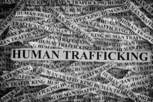 New Project – 2023-07-11T111803.171