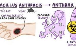 New Project – 2023-07-17T161012.953