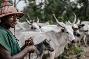 New Project – 2023-07-19T115423.576