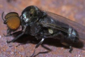 New Project – 2023-08-20T223332.084