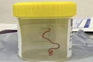 New Project – 2023-08-29T164140.301