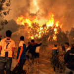 Wildfires break out in Bejaia forest, Algeria