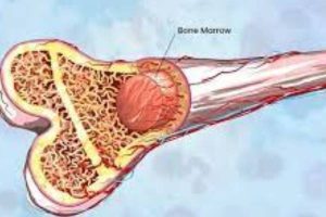 New Project – 2023-09-17T125433.837