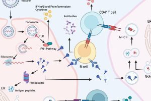 New Project – 2023-10-02T113041.048