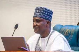 New Project – 2023-11-13T195511.977