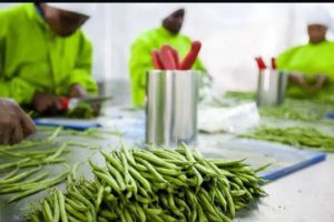 New Project – 2023-11-27T223013.252