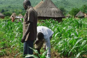 New Project – 2023-12-06T163254.085