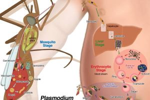 New Project – 2024-02-05T122119.100