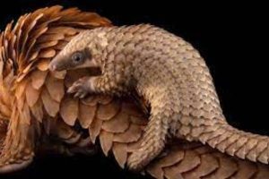 New Project – 2024-02-18T181729.699