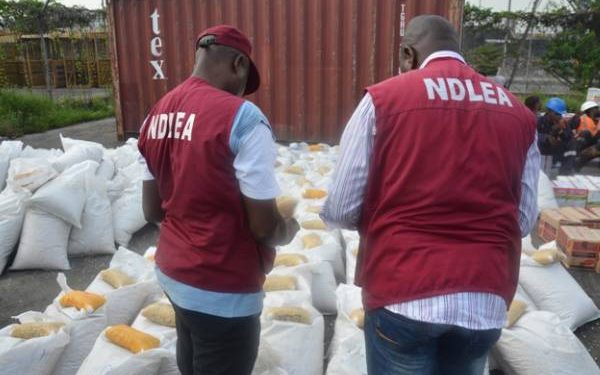 NDLEA Arrests Terminal Operator, 1 Other Over Cocaine, Colos – Trending ...