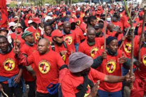 New Project – 2024-05-01T132942.623