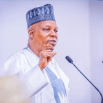 VP Shettima calls for measures to tackle flooding this year