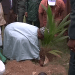 World Environment Day: NNPC foundation embarks on tree planting campaign across schools, states