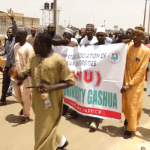 Yobe: SSANU, NASU protest, demand payment of withheld four-month salaries