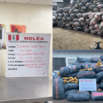 NDLEA arrests most wanted Lagos drug baron, Temo