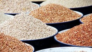 BEANS-e1589148939427