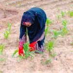 Kebbi first lady urges women to cultivate a garden