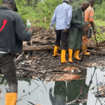 Oil Spill: Bayelsa Community, activists seek immediate intervention