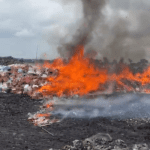 NAFDAC destroys counterfeit, expired products worth over ₦40bn