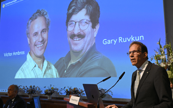 Two Americans receive Nobel Prize in Medicine for discovery of microRNA ...