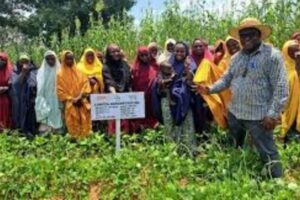 New Project – 2025-02-04T132600.429