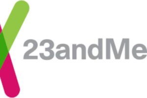 New Project – 2025-03-24T101342.603