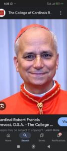 Screenshot_2025-05-08-18-35-42-240_com.google.android.googlequicksearchbox