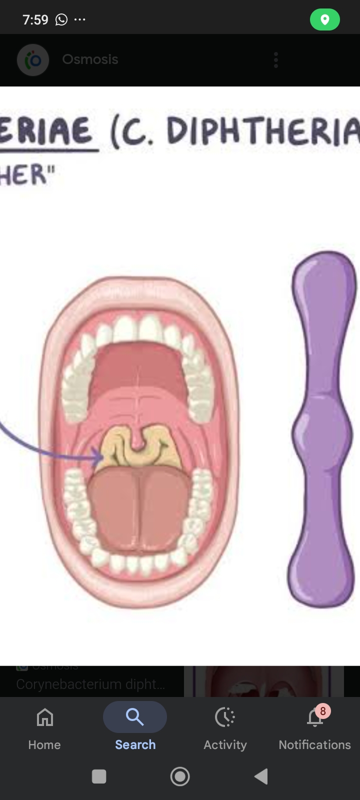 Screenshot_2025-05-29-07-59-34-160_com.google.android.googlequicksearchbox