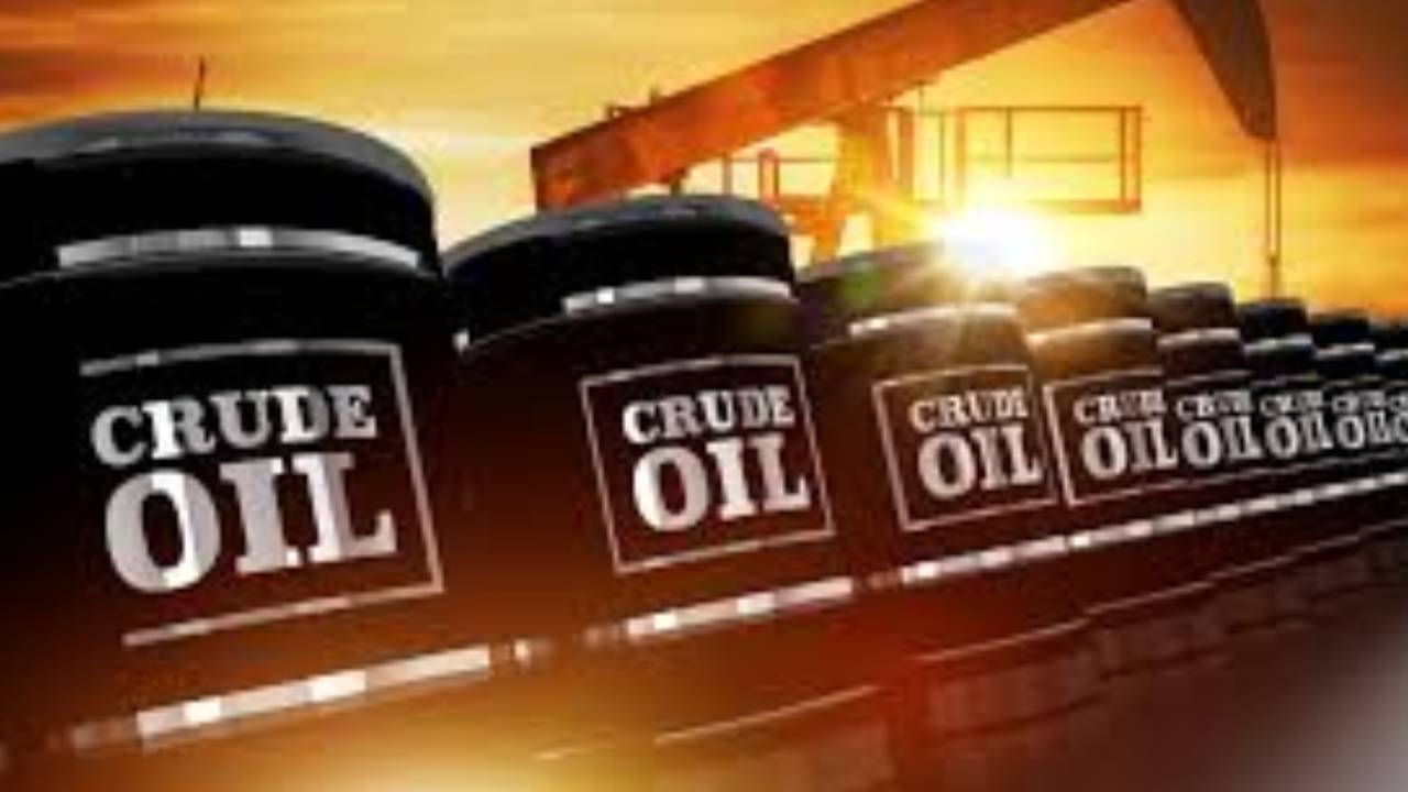 WhatsApp Image 2025-06-18 at 12 (13)