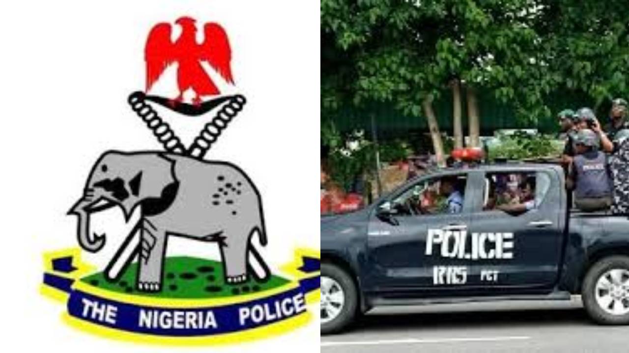 WhatsApp Image 2025-06-18 at 12