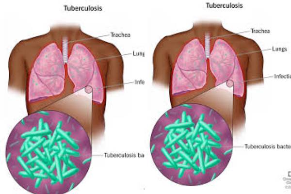 New Project – 2025-07-01T133355.712