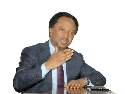 “In Nigeria, ideology is non-existent; parties differ only in acronyms” – Shehu Sani