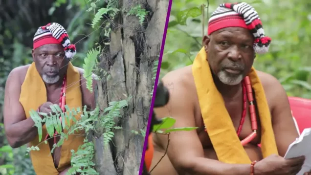 Veteran Nollywood actor, Tom Njemanze is dead