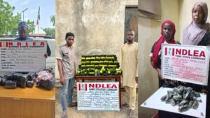 image_750x_68d90310da0c4