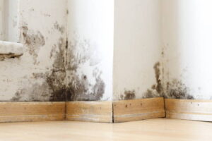 istockphoto-1400305398-612×612