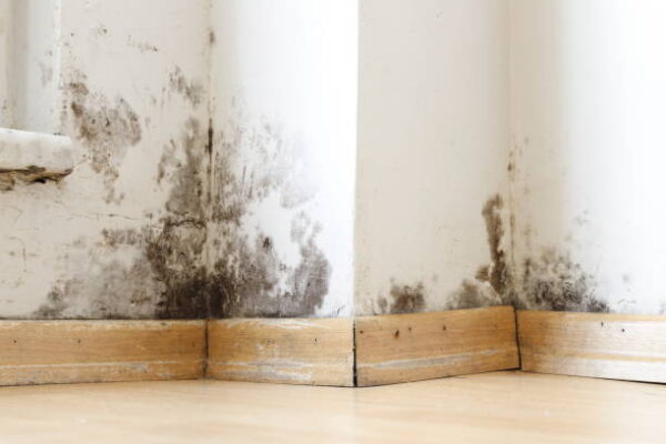 istockphoto-1400305398-612×612