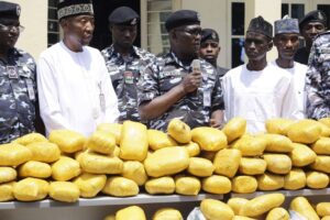 Recovered-suspected-canabis-1045×696