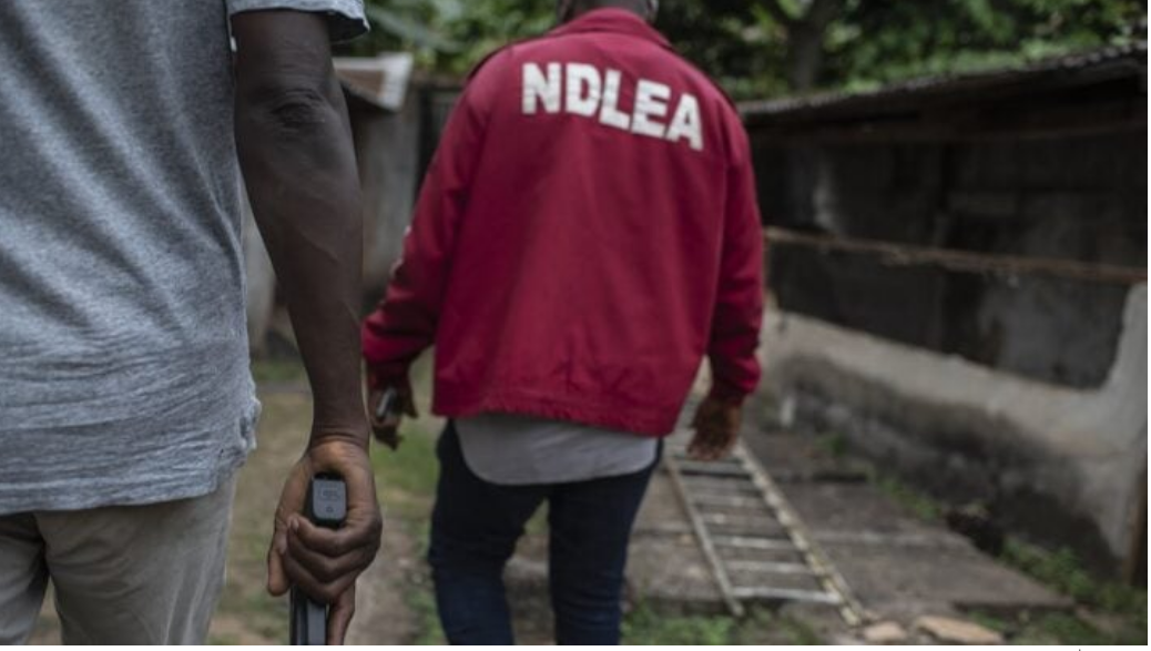 VIDEO: Traffickers Now Swallow Drugs on Nigeria–North Africa Road Route, NDLEA Reveals
