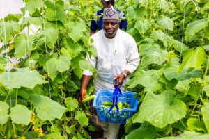 WhatsApp Image 2025-10-09 at 11.01.01_f3689a7f