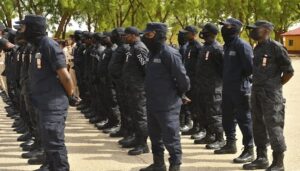 DSS-Launches-Successful-Counterterrorism-Operations-in-Niger