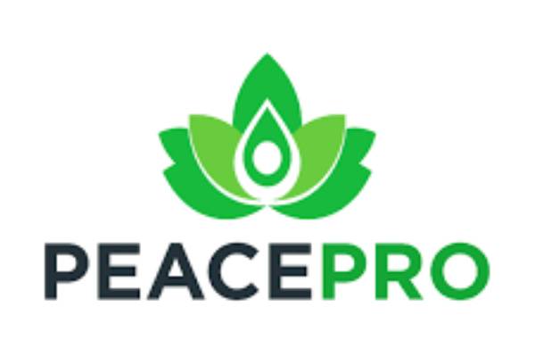 New-Project-2025-06-09T163320.493