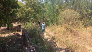 WhatsApp Image 2025-11-25 at 2.44.44 PM (1)